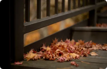 Stop sporco e rumore